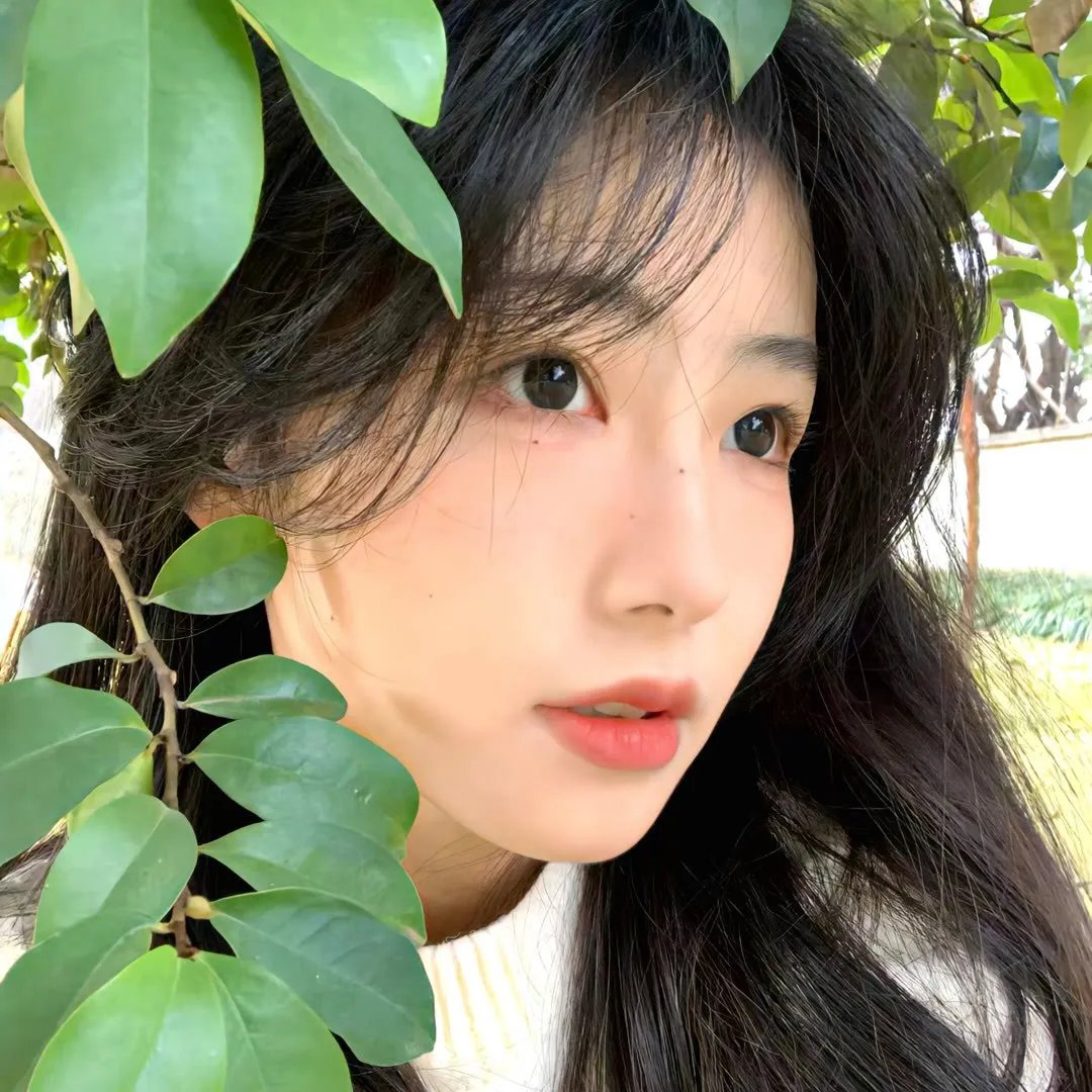 今世迷情